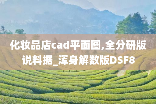 化妆品店cad平面图,全分研版说料据_浑身解数版DSF8