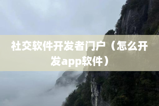 社交软件开发者门户（怎么开发app软件）