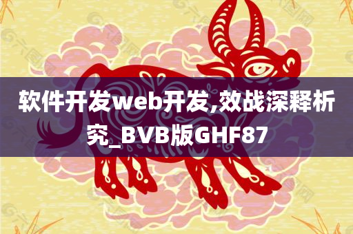 软件开发web开发,效战深释析究_BVB版GHF87