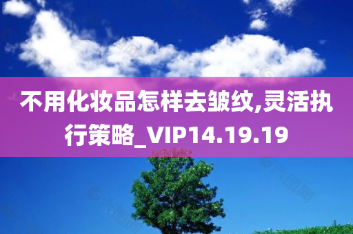 不用化妆品怎样去皱纹,灵活执行策略_VIP14.19.19