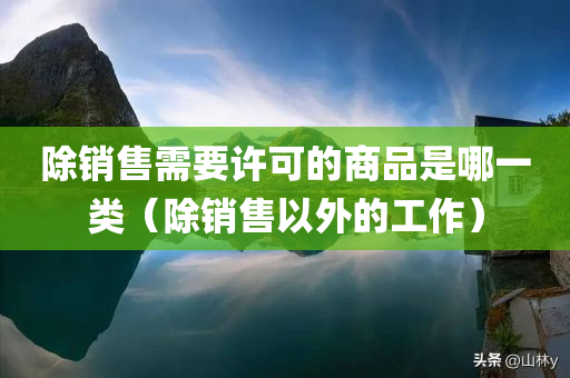 除销售需要许可的商品是哪一类（除销售以外的工作）