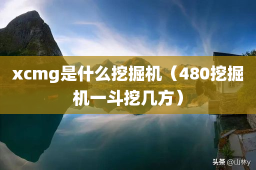 xcmg是什么挖掘机（480挖掘机一斗挖几方）