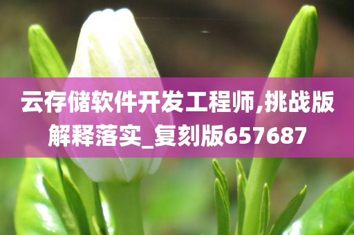 云存储软件开发工程师,挑战版解释落实_复刻版657687