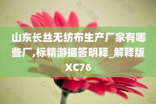 山东长丝无纺布生产厂家有哪些厂,标精游据答明释_解释版XC76