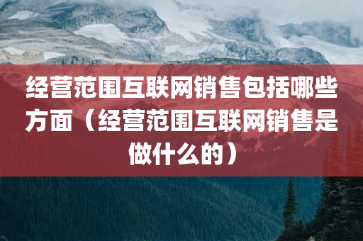 经营范围互联网销售包括哪些方面（经营范围互联网销售是做什么的）