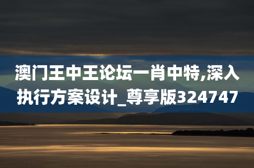 澳门王中王论坛一肖中特,深入执行方案设计_尊享版324747