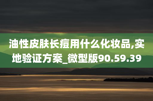 油性皮肤长痘用什么化妆品,实地验证方案_微型版90.59.39