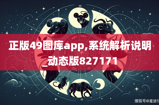 正版49图库app,系统解析说明_动态版827171