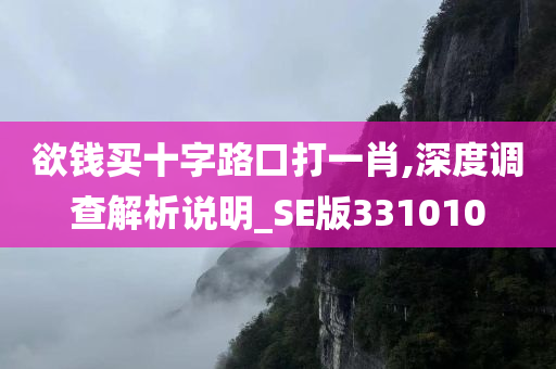 欲钱买十字路口打一肖,深度调查解析说明_SE版331010