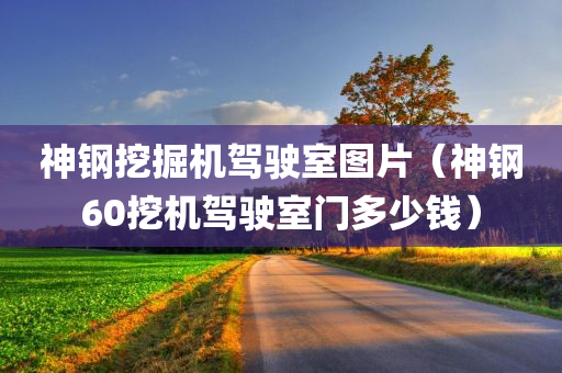 神钢挖掘机驾驶室图片（神钢60挖机驾驶室门多少钱）