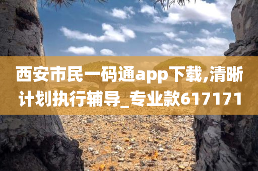 西安市民一码通app下载,清晰计划执行辅导_专业款617171