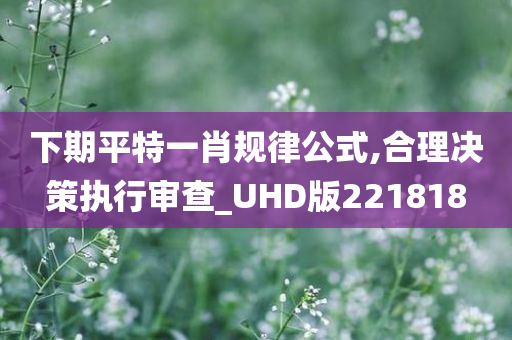 下期平特一肖规律公式,合理决策执行审查_UHD版221818