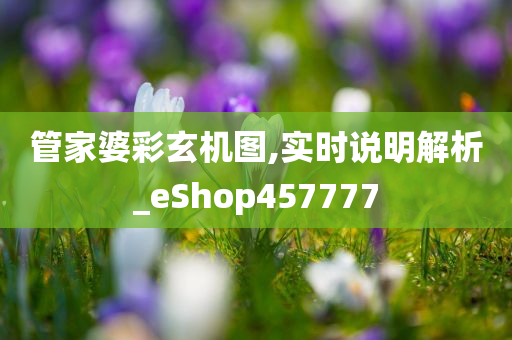 管家婆彩玄机图,实时说明解析_eShop457777