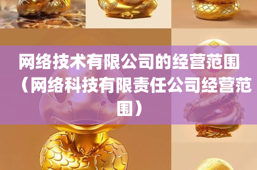 网络技术有限公司的经营范围（网络科技有限责任公司经营范围）