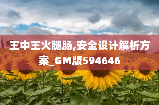 王中王火腿肠,安全设计解析方案_GM版594646