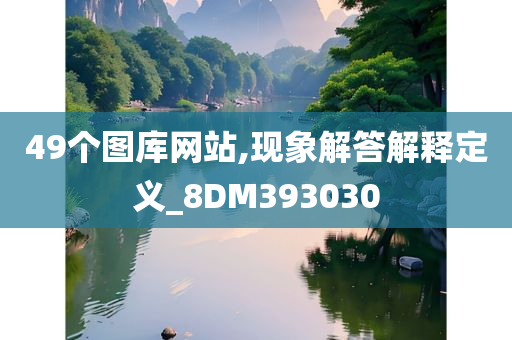 49个图库网站,现象解答解释定义_8DM393030