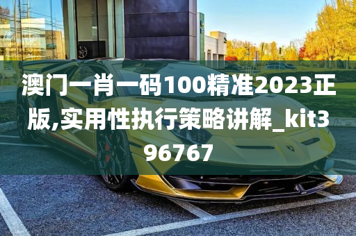 澳门一肖一码100精准2023正版,实用性执行策略讲解_kit396767