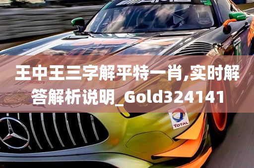 王中王三字解平特一肖,实时解答解析说明_Gold324141