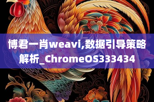 博君一肖weavi,数据引导策略解析_ChromeOS333434