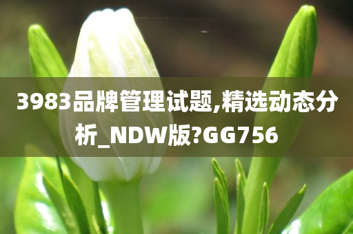 3983品牌管理试题,精选动态分析_NDW版?GG756