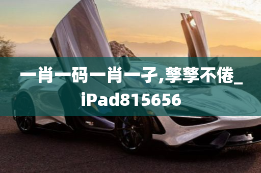 一肖一码一肖一孑,孳孳不倦_iPad815656