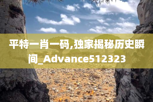 平特一肖一码,独家揭秘历史瞬间_Advance512323