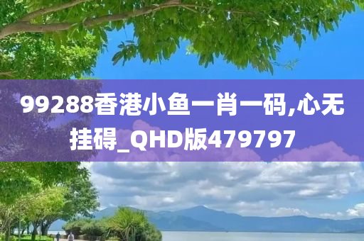 99288香港小鱼一肖一码,心无挂碍_QHD版479797