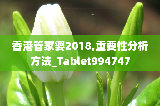 香港管家婆2018,重要性分析方法_Tablet994747