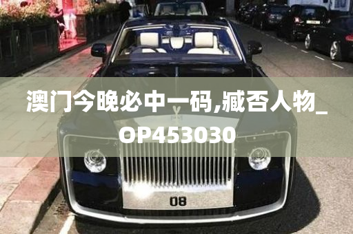 澳门今晚必中一码,臧否人物_OP453030