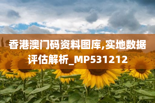 香港澳门码资料图库,实地数据评估解析_MP531212