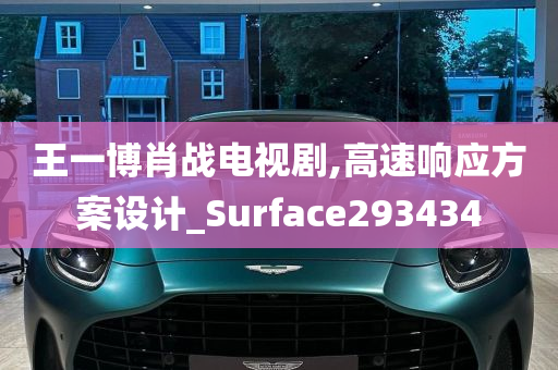 王一博肖战电视剧,高速响应方案设计_Surface293434