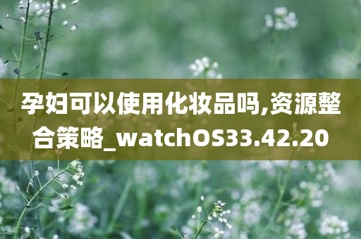 孕妇可以使用化妆品吗,资源整合策略_watchOS33.42.20