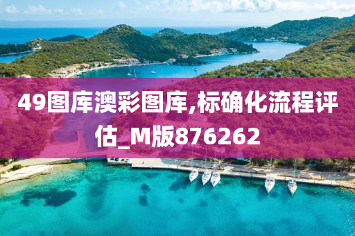 49图库澳彩图库,标确化流程评估_M版876262