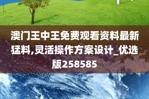 澳门王中王免费观看资料最新猛料,灵活操作方案设计_优选版258585