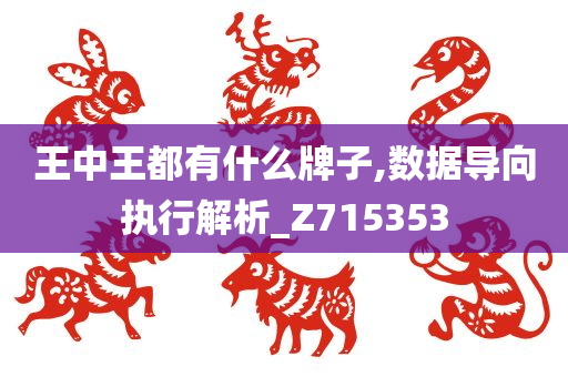 王中王都有什么牌子,数据导向执行解析_Z715353