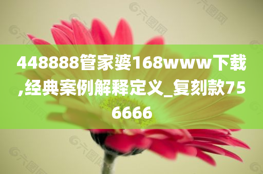 448888管家婆168www下载,经典案例解释定义_复刻款756666