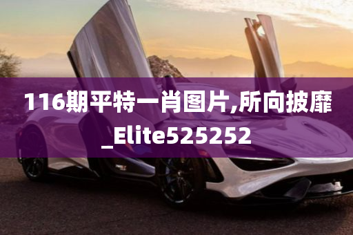 116期平特一肖图片,所向披靡_Elite525252