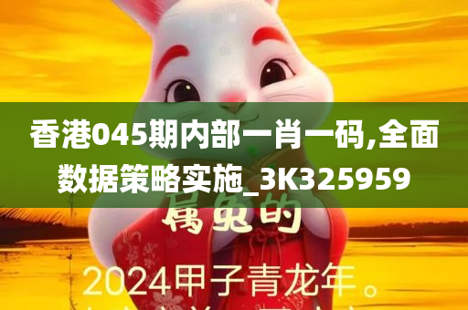 香港045期内部一肖一码,全面数据策略实施_3K325959