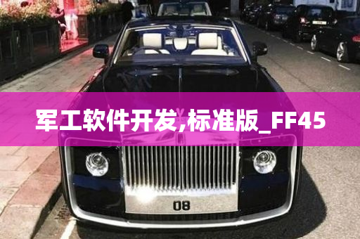 军工软件开发,标准版_FF45