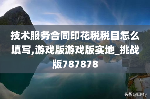 技术服务合同印花税税目怎么填写,游戏版游戏版实地_挑战版787878