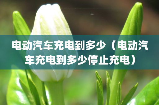 电动汽车充电到多少（电动汽车充电到多少停止充电）