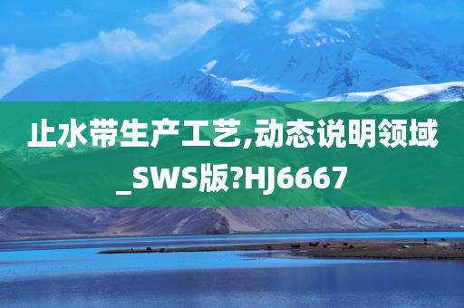 止水带生产工艺,动态说明领域_SWS版?HJ6667