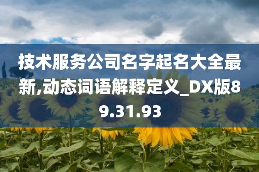 技术服务公司名字起名大全最新,动态词语解释定义_DX版89.31.93