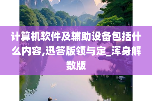 计算机软件及辅助设备包括什么内容,迅答版领与定_浑身解数版