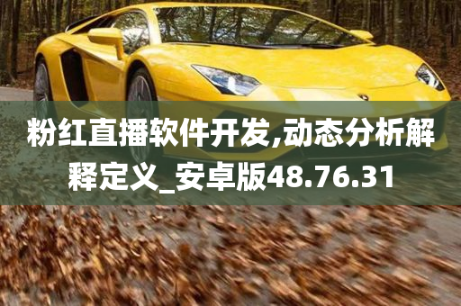 粉红直播软件开发,动态分析解释定义_安卓版48.76.31