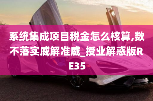 系统集成项目税金怎么核算,数不落实威解准威_授业解惑版RE35