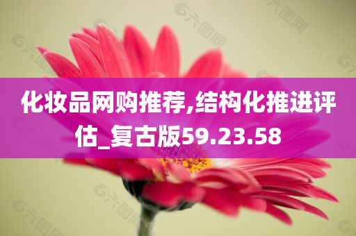 化妆品网购推荐,结构化推进评估_复古版59.23.58