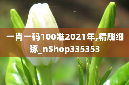 一肖一码100准2021年,精雕细琢_nShop335353