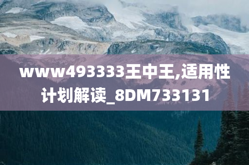 www493333王中王,适用性计划解读_8DM733131