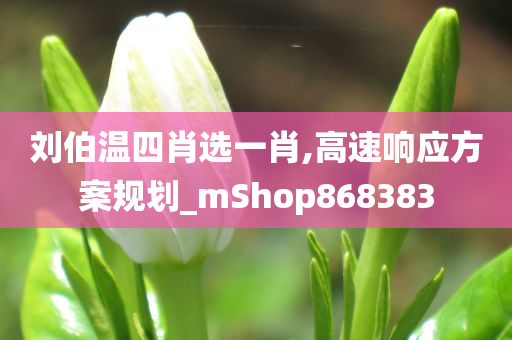 刘伯温四肖选一肖,高速响应方案规划_mShop868383